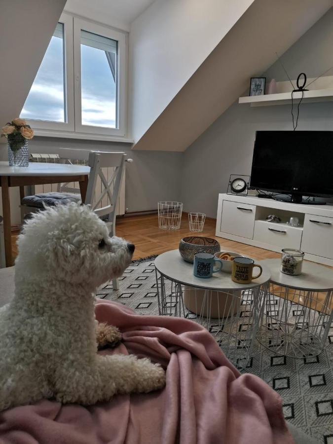 Apartman Jela Nova Varoš Exterior foto
